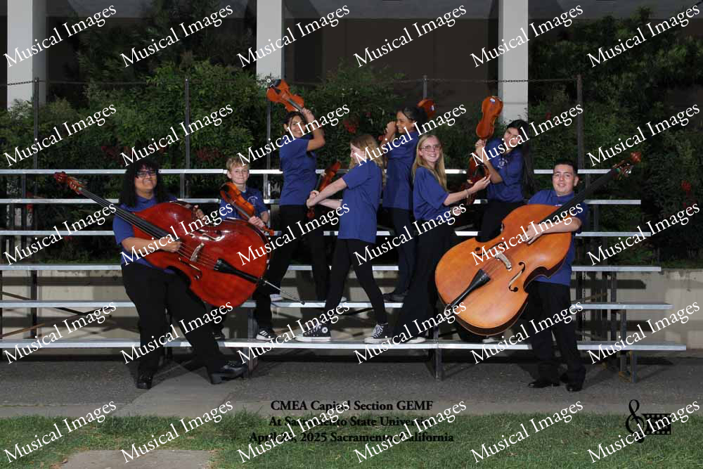 Musical Images